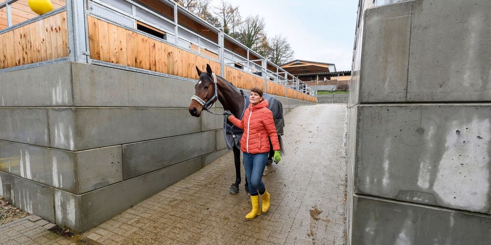 A woman in a red jacket leads a horse