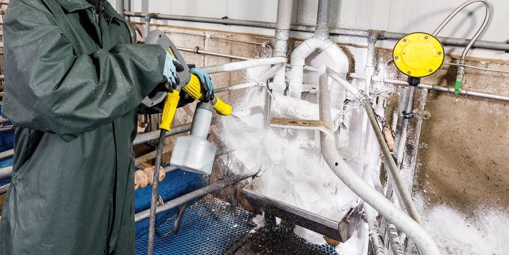 Cleaning agents for pigsty cleaning