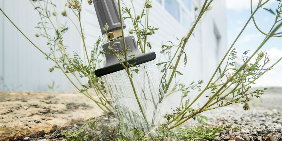 Kärcher WR 10 weed remover for destroying weeds with hot water