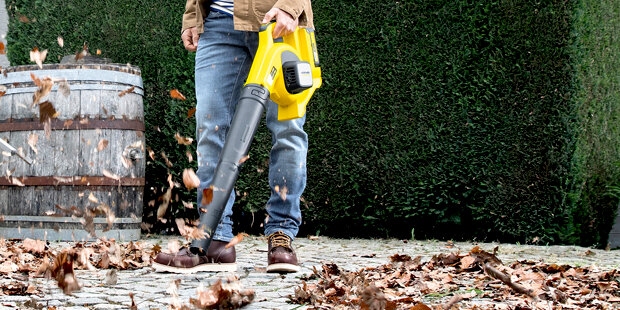 medium LBL 2 terrace leaves app 01 CI 15 cropped Ke C