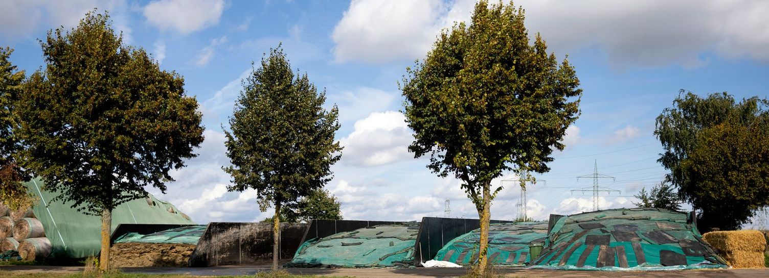 View of a meadow with some flat silos covered with a tarpaulin and flanked by trees