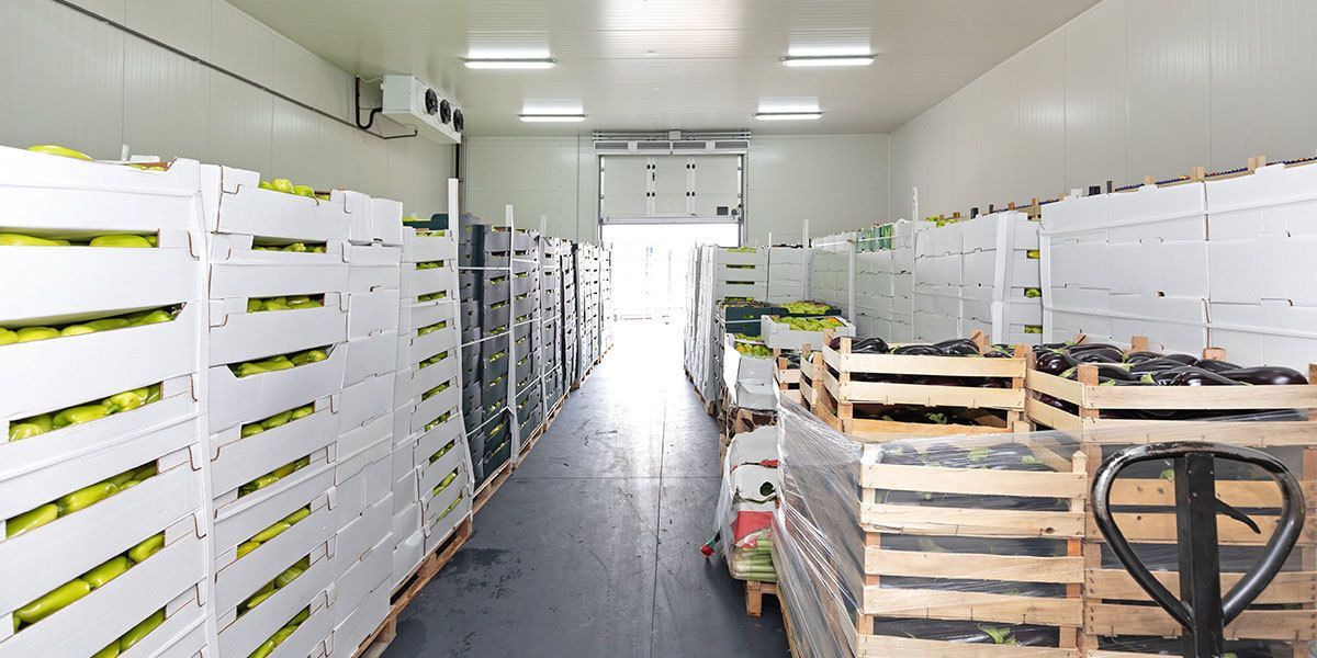 View of cold storage full of stacked boxes