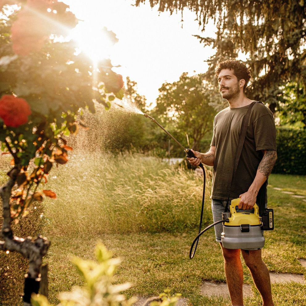 Person fertilises plants with the Kärcher cordless pressure sprayer