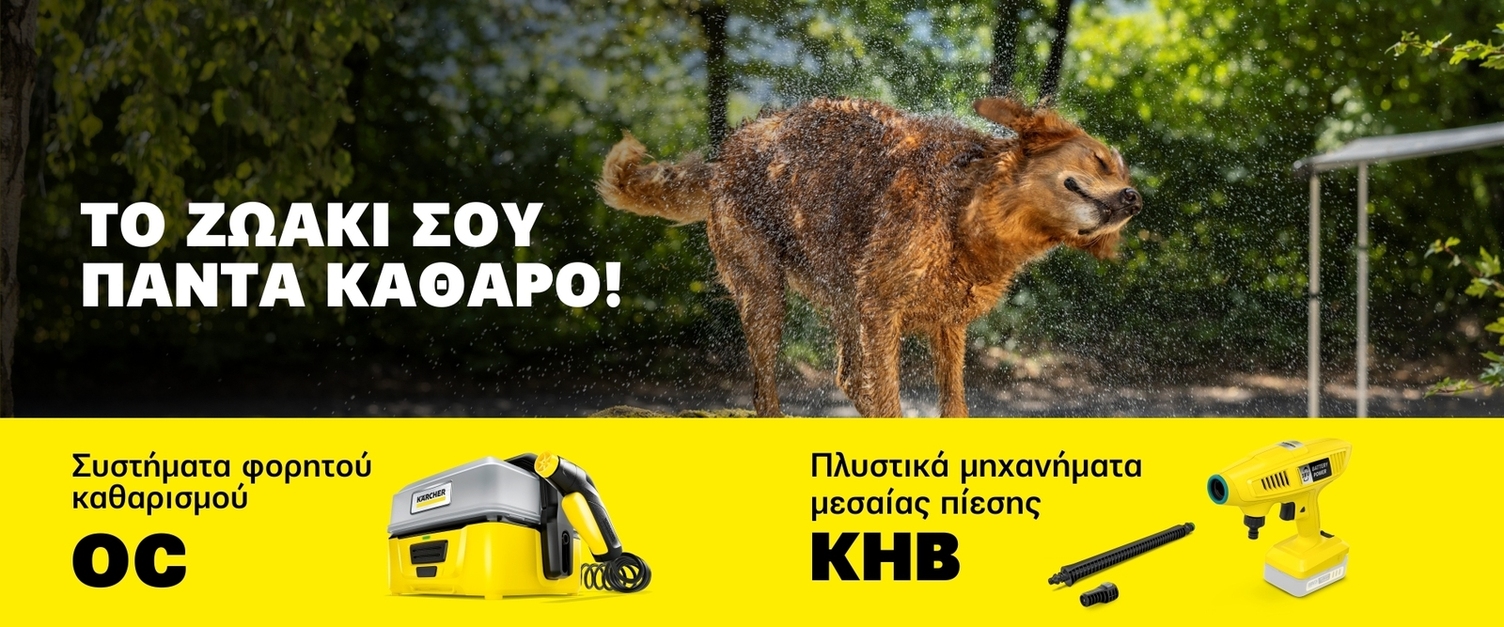 Pet cleaning Pet cleaning