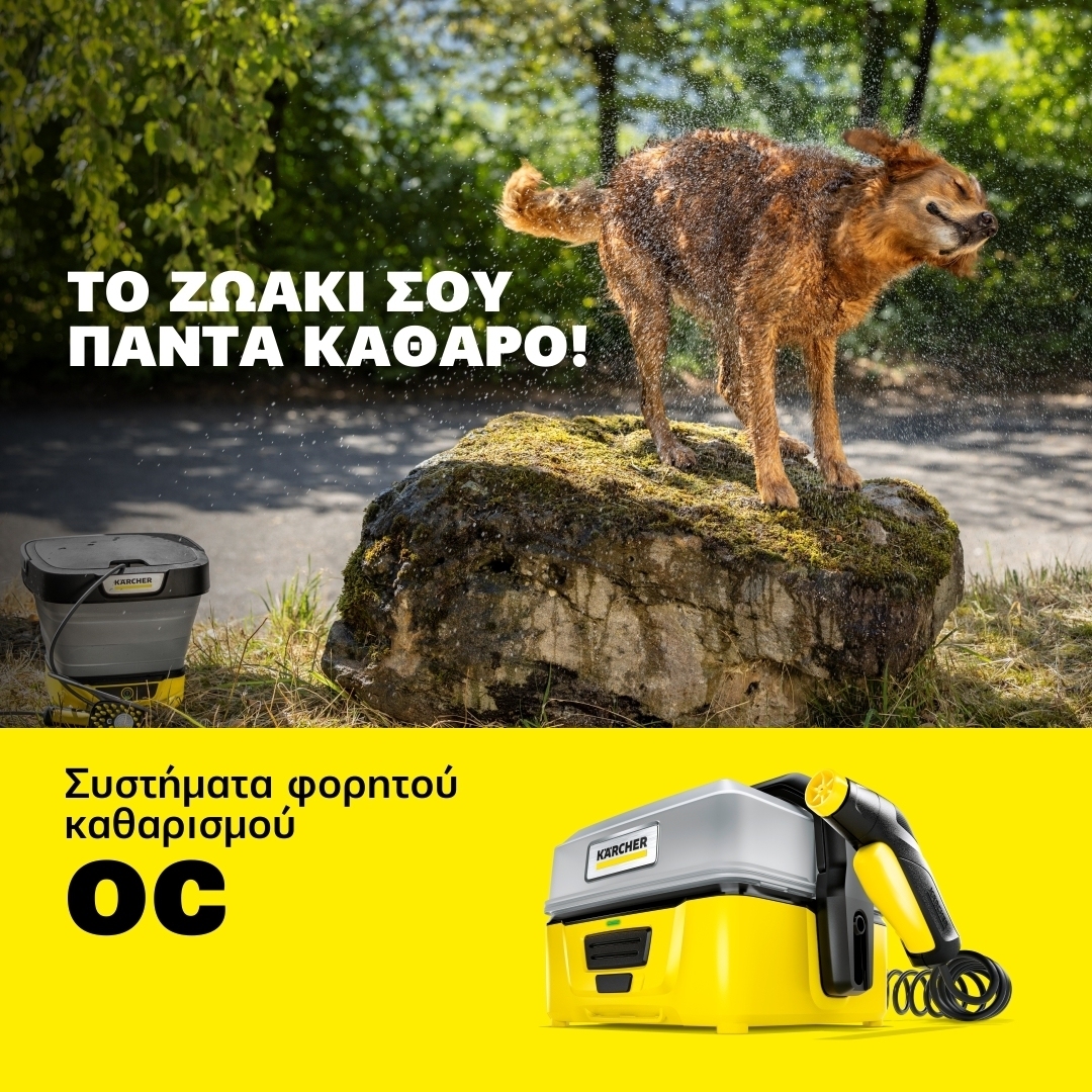 Pet cleaning