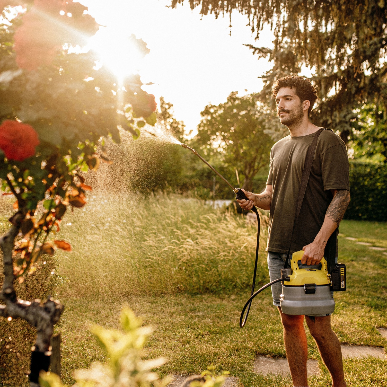 Fertilising with the Kärcher cordless pressure sprayer Person fertilises plants with the Kärcher cordless pressure sprayer