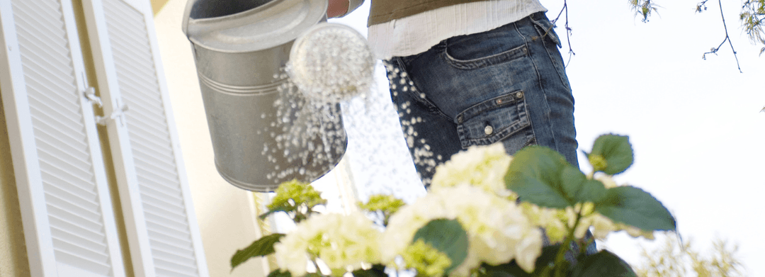 watering_plants