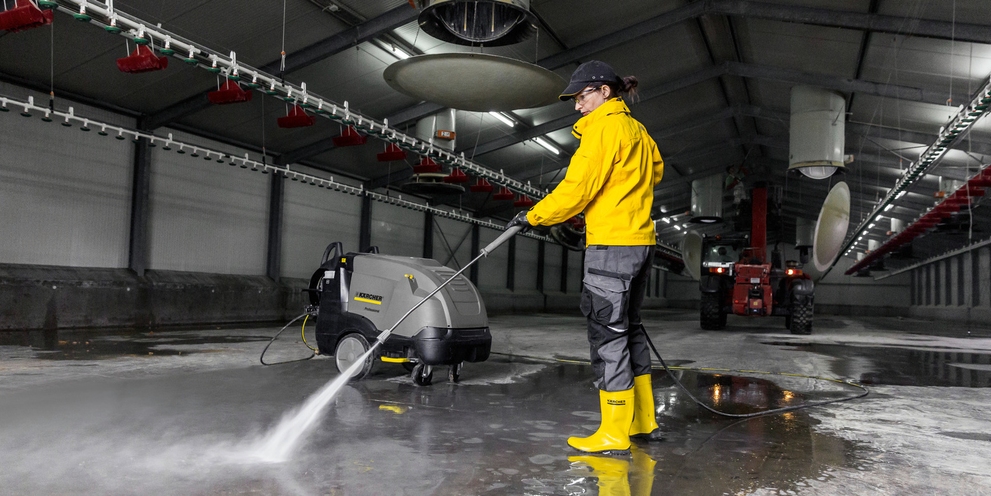 Floor @ poultry