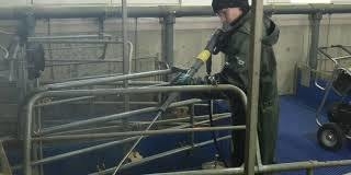 Pig farrowing pen
