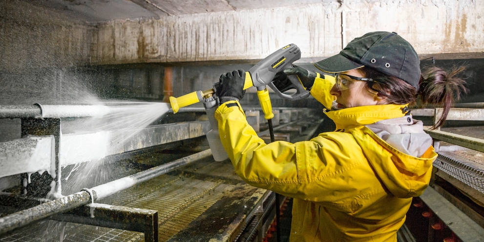 Poultry cleaning