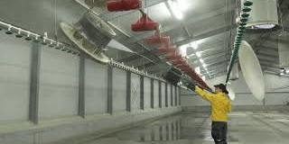 Poultry cleaning