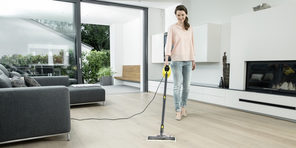 Steam Cleaning Steam Cleaning