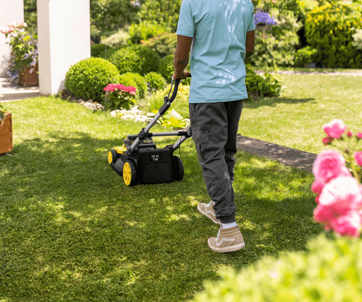 Lawn Mower