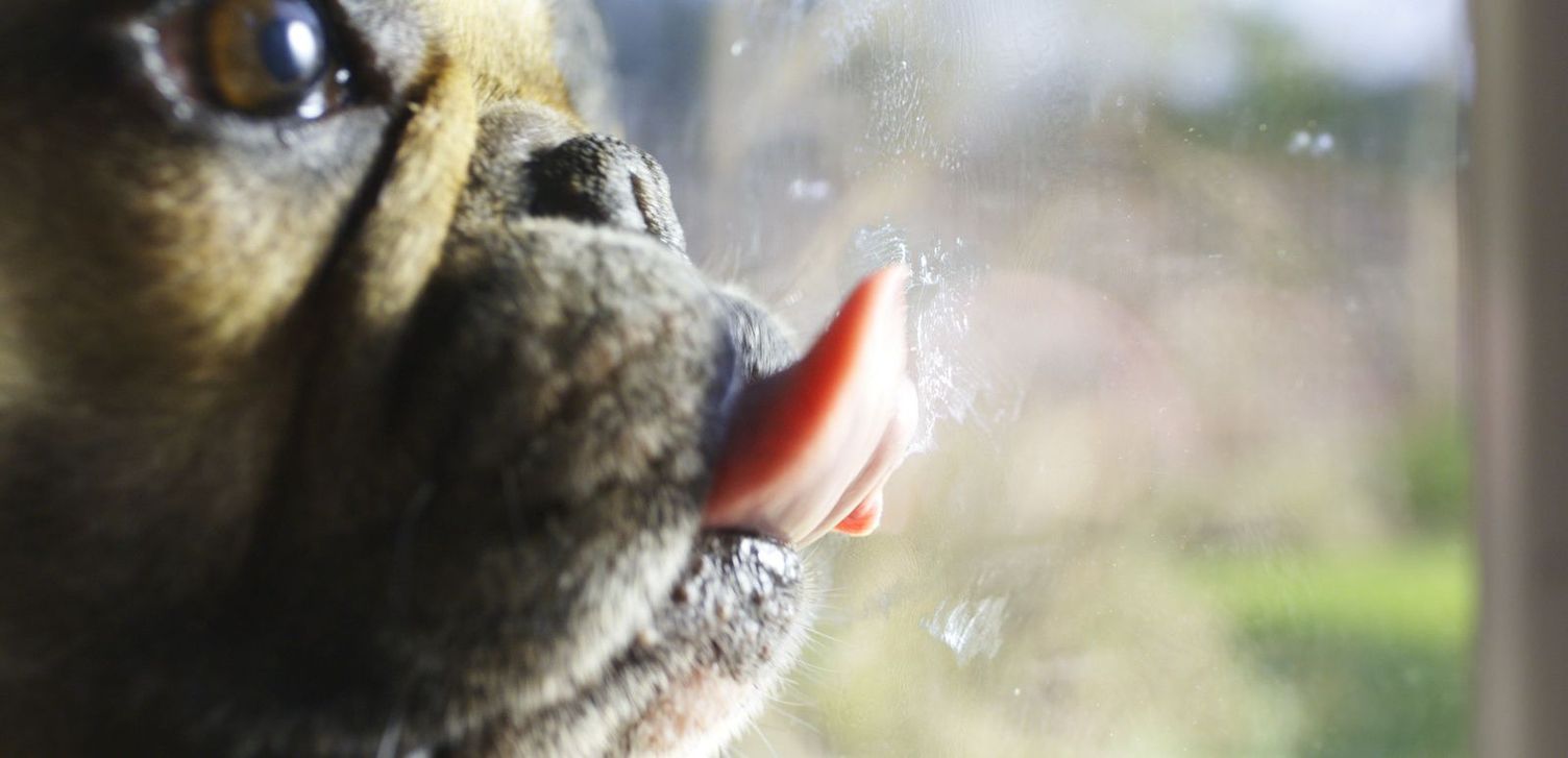 Marks on glass surfaces