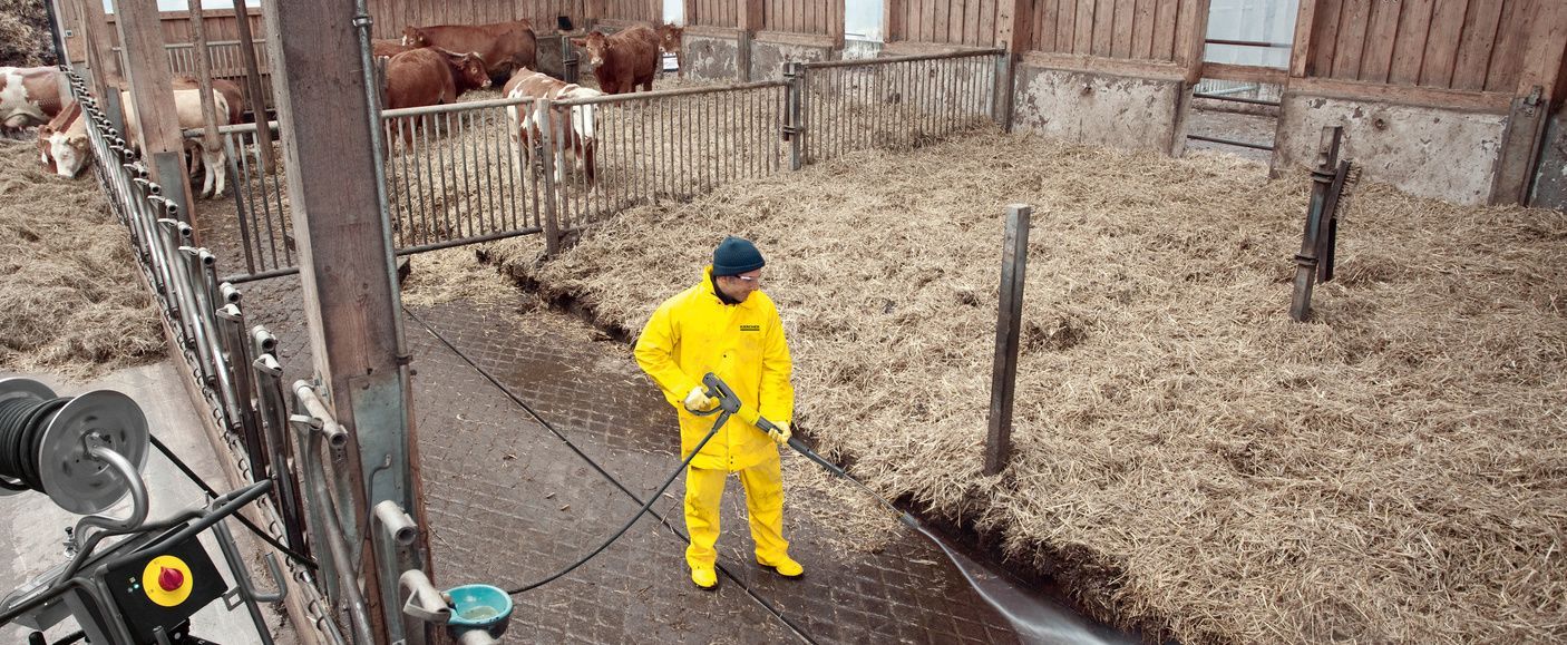 Cleaning a calving pen Cleaning a calving pen