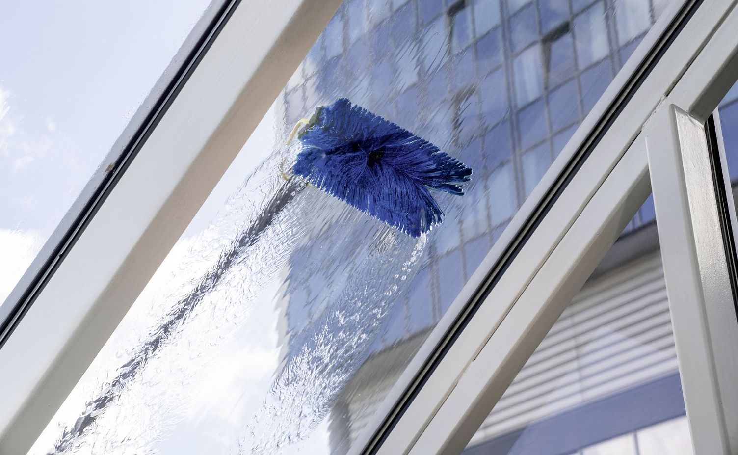 Brushes for glass facade cleaning A blue brush is used to clean a glass facade
