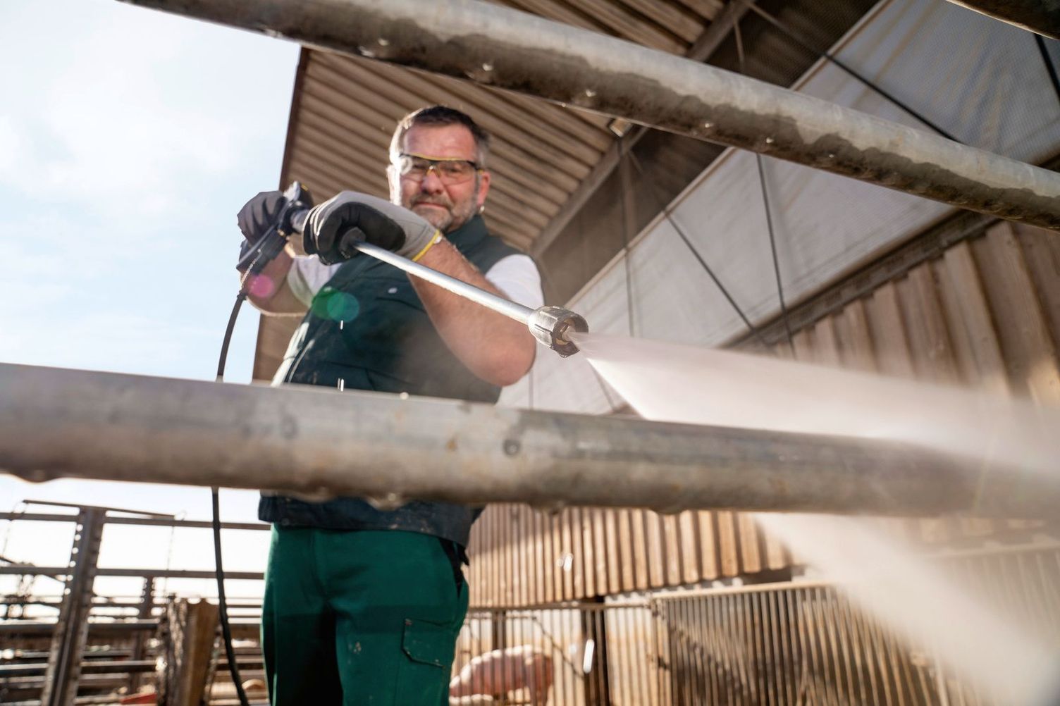 Soaking with a high-pressure cleaner during pigsty cleaning Soaking with a high-pressure cleaner in pigsty cleaning
