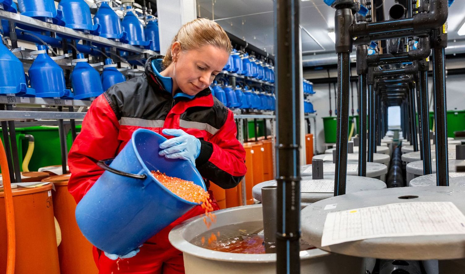 Hatching tank Hatching tank