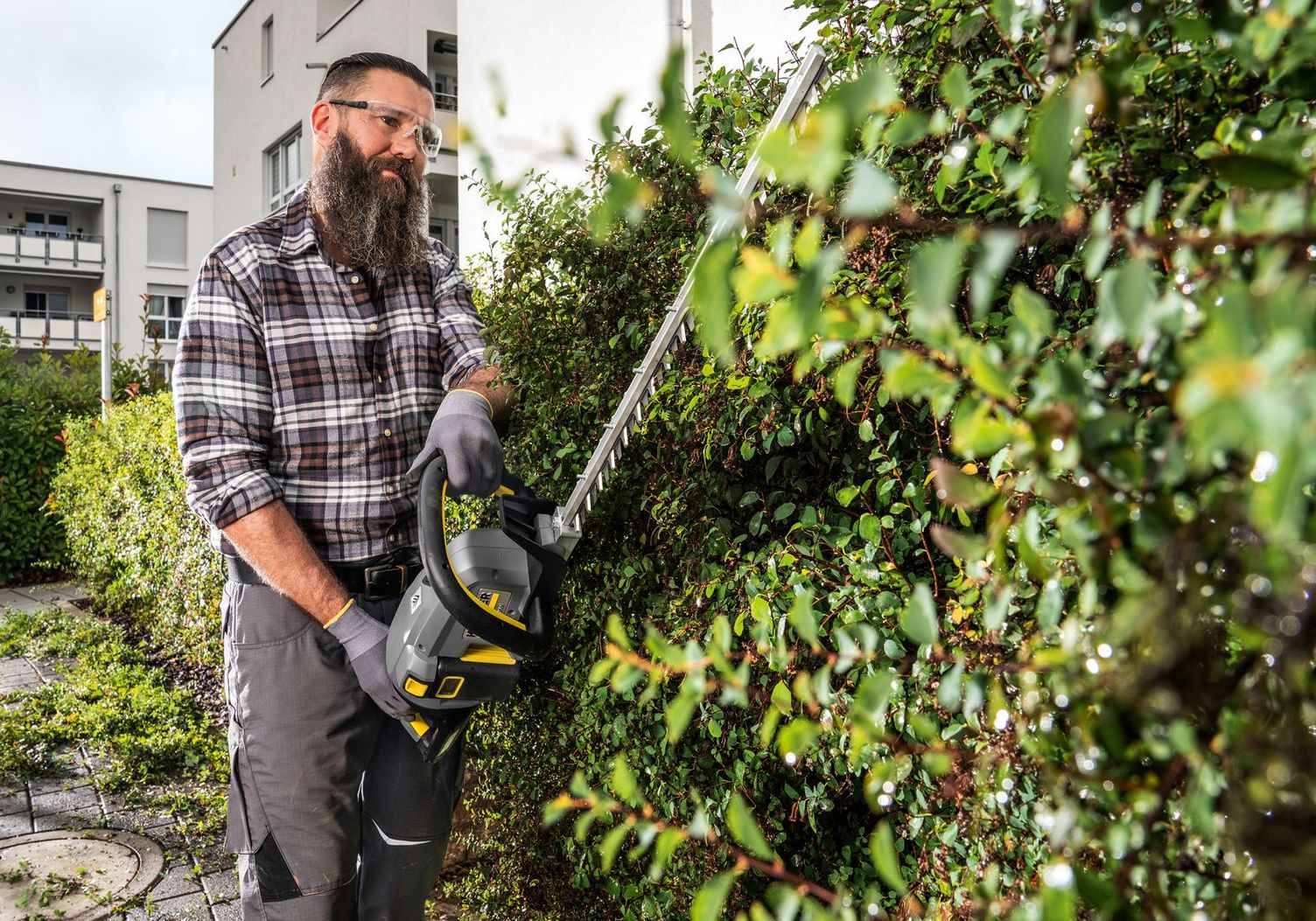Green area maintenance: Hedge