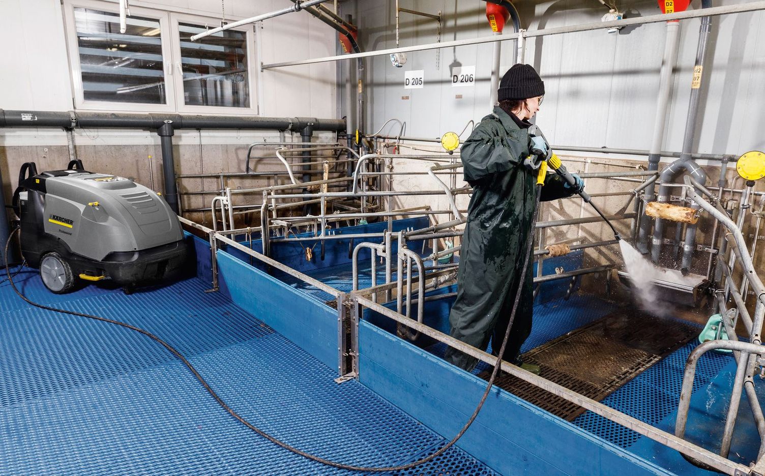 Cleaning pigsties with hot water pressure washers Cleaning pigsties with hot water pressure washers