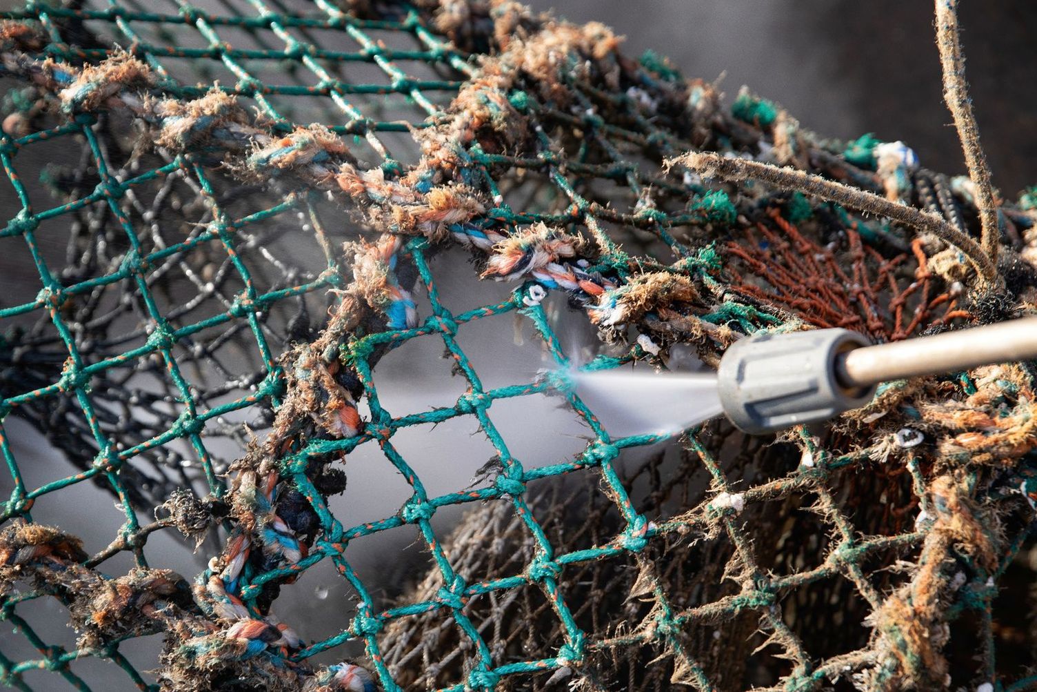 Detail of the fish trap Detail of the fish trap