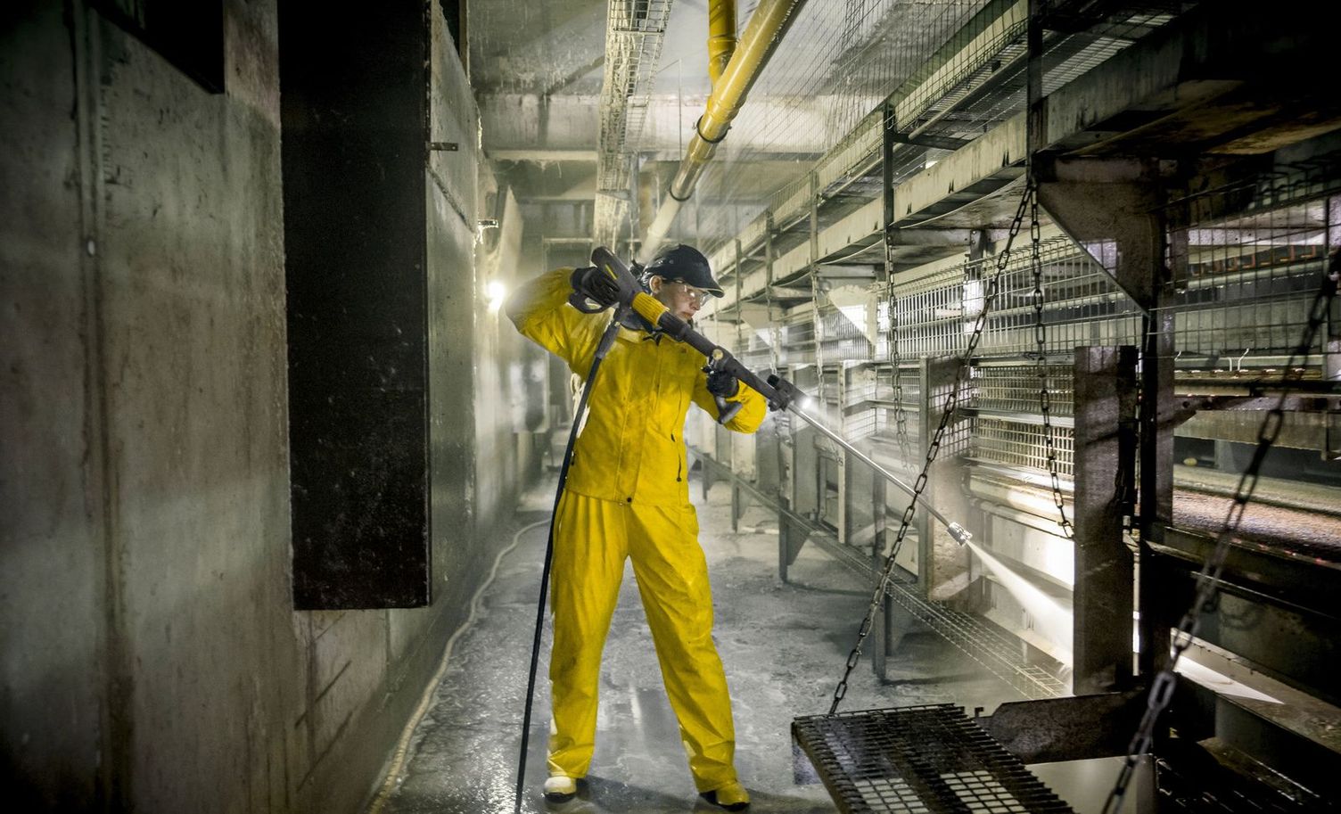 Protective clothing when cleaning chicken coops Protective clothing when cleaning and disinfecting chicken coops