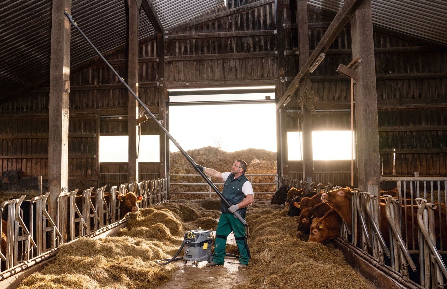 Cowshed cleaning with a wet/dry vacuum cleaner Cowshed cleaning with a wet/dry vacuum cleaner