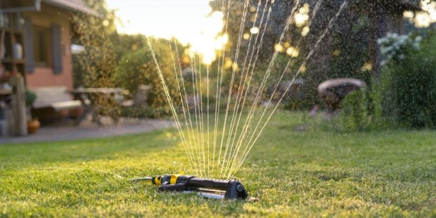 Watering Sprinkler