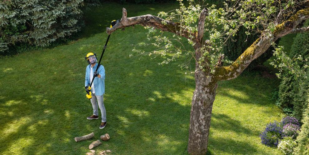 Working on high trees with the battery tree lopper Kärcher battery tree lopper for working on high trees