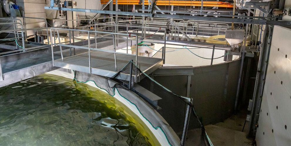 Aquafarming Aquafarming