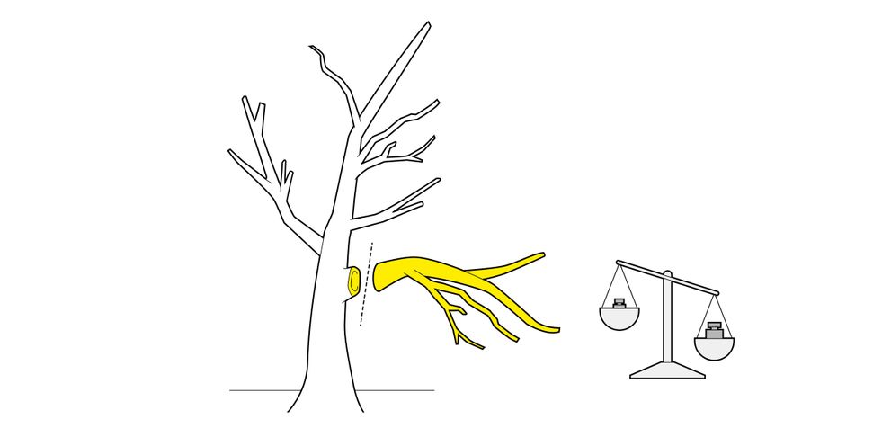 Relief cutting Kärcher tips for relief cutting