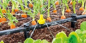 Bewässerung Sprühmanschetten Rain System