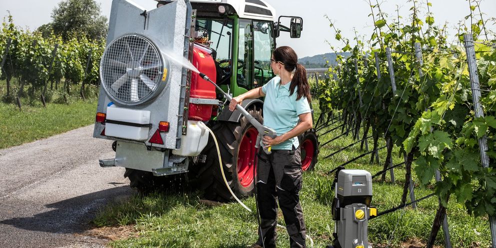Cleaning the yard and paths