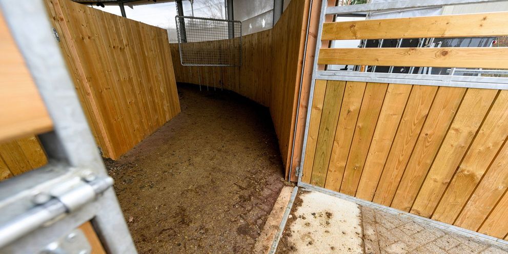 Regularly clean the Paddock Open the paddock