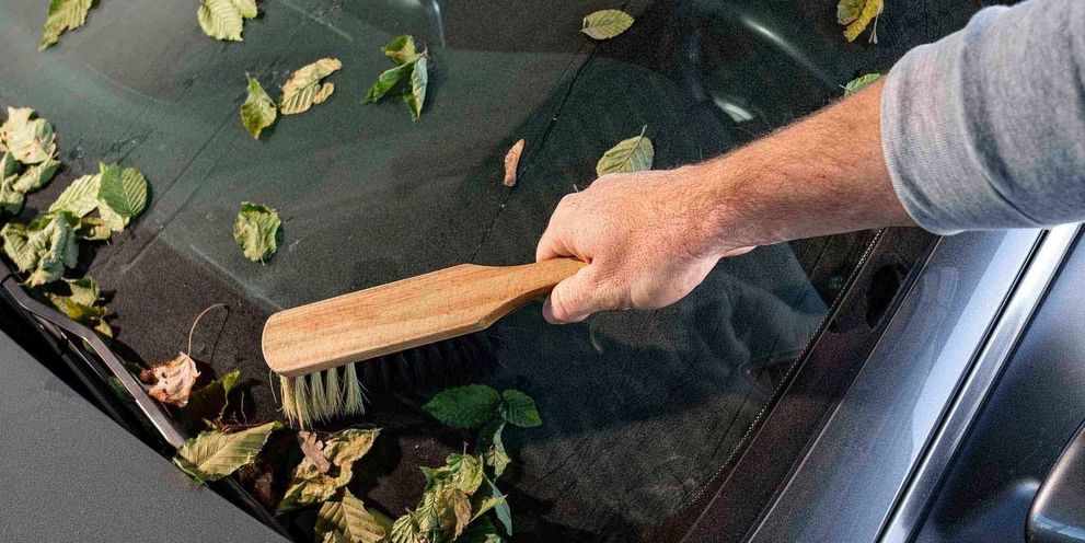 Remove loose dirt Kärcher Tips: Remove loose dirt on your car