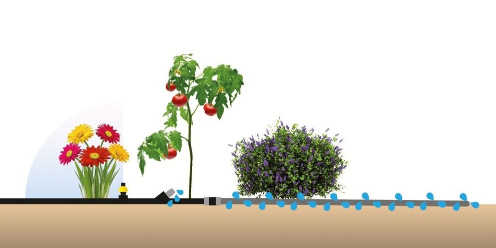 Rain System Rain System