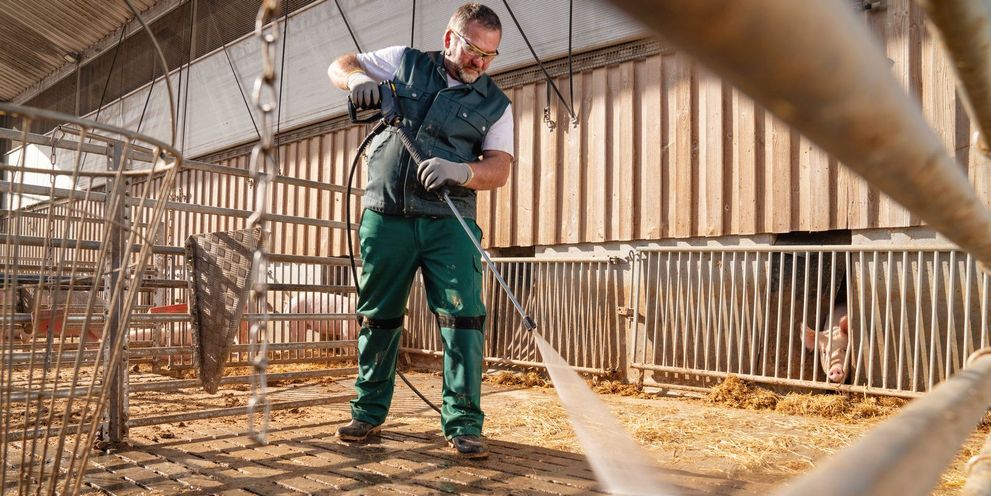 Cleaning a pigsty Cleaning a pigsty