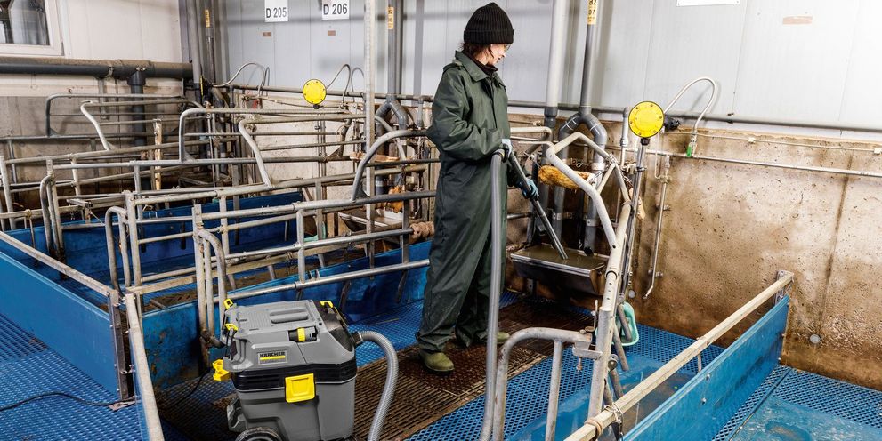 Cleaning pigsties with a wet and dry vacuum cleaner Cleaning pigsties with a wet and dry vacuum cleaner