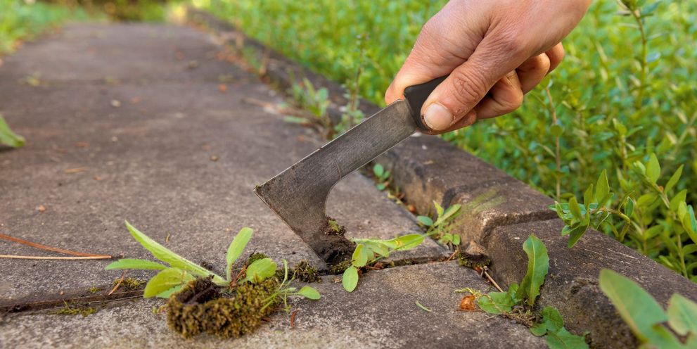 Remove weeds with a joint scraper Remove weeds with a joint scraper