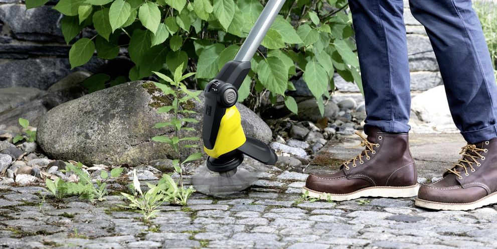 Removing weeds Removing weeds