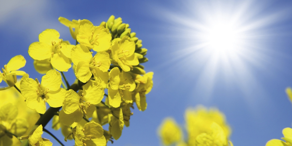 Karcher Eco efficiency