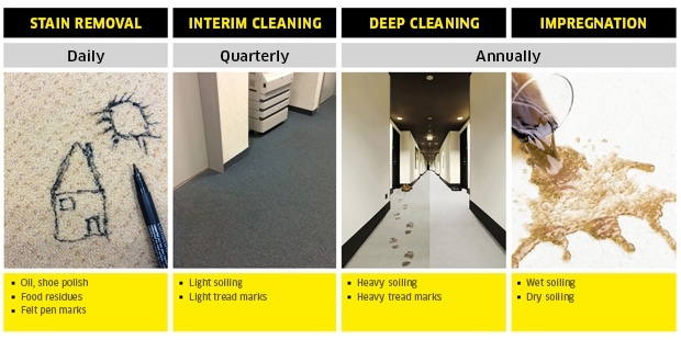 medium carpetpro overview