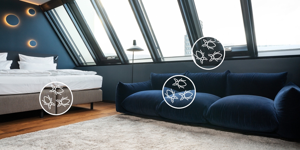 Combat bedbugs_Teaser image