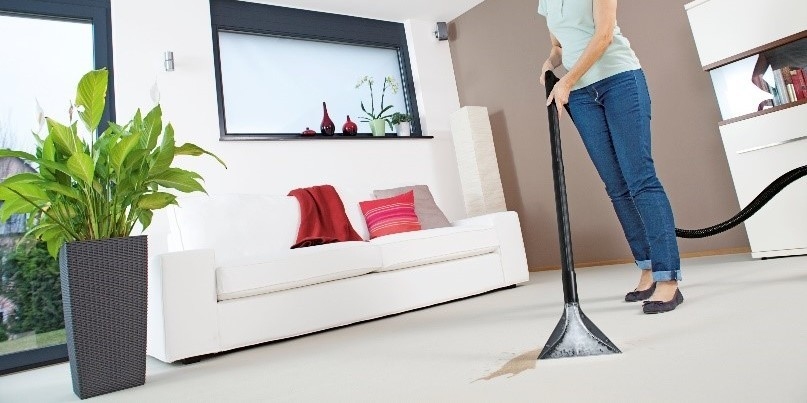 how to clean carpet stains
