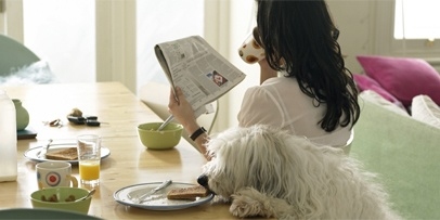 Hund