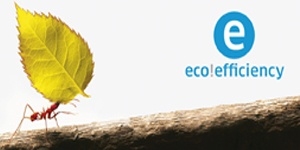 eco efficiency