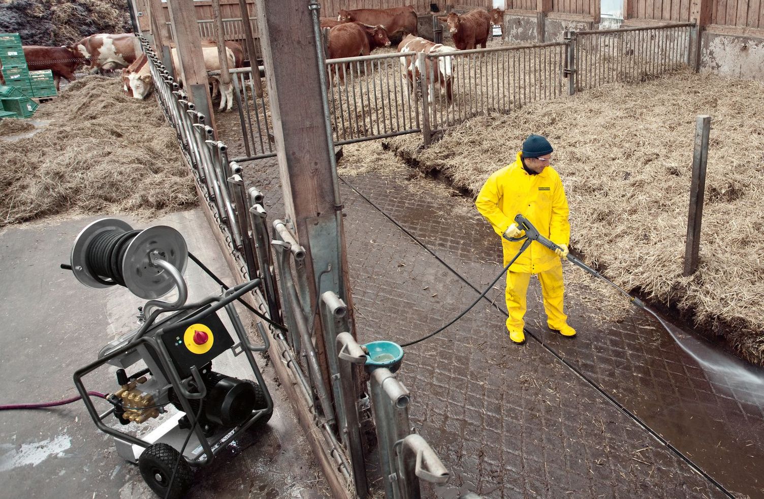 Hygiene measures in the prevention of foot and mouth disease