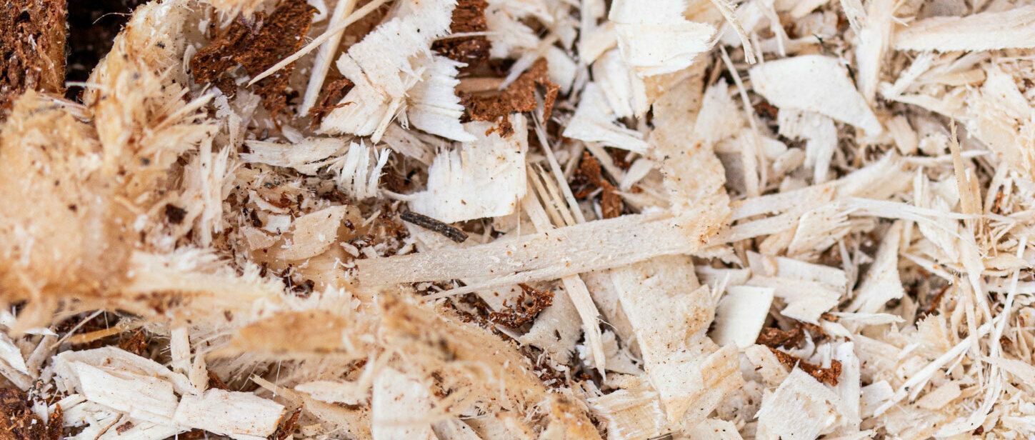 Wood chips and wood dust