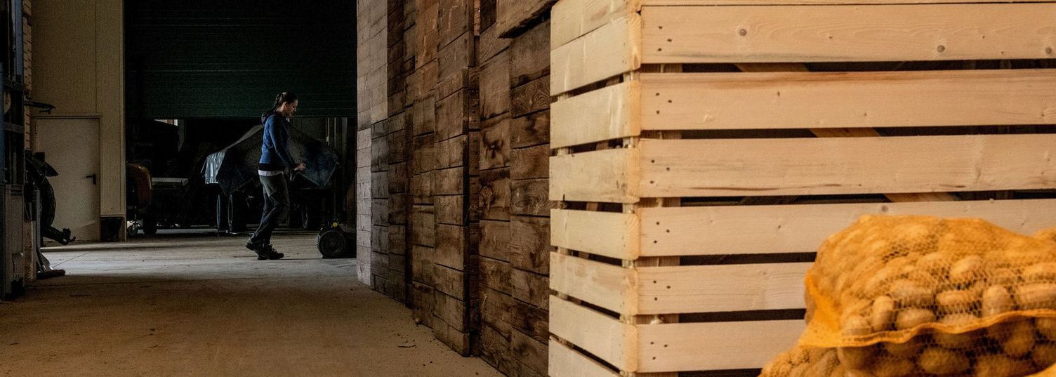 Removing chlorpropham from potato stores