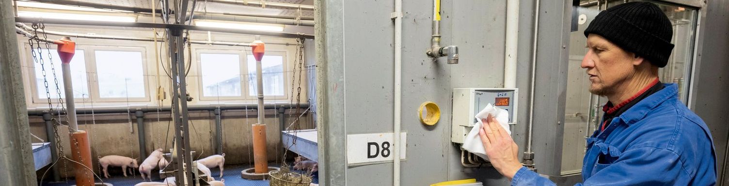 A man cleans the control panel of a pig feeder with a cloth